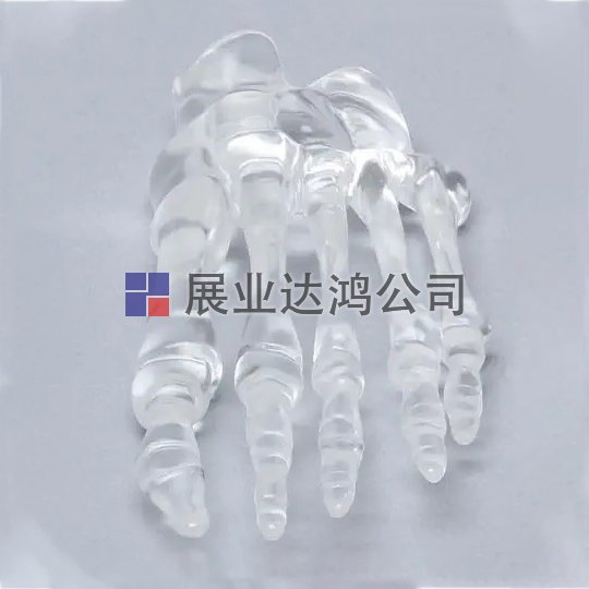 SAWBONES 前腳掌骨骼解剖透明模型1701-90