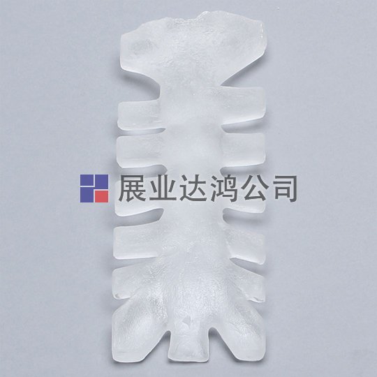 SAWBONES 胸骨解剖透明模型1025-7