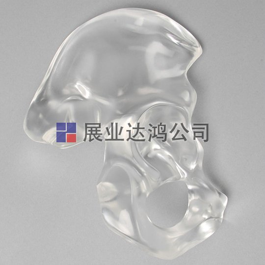 SAWBONES 男性半骨盆解剖模型1296-8