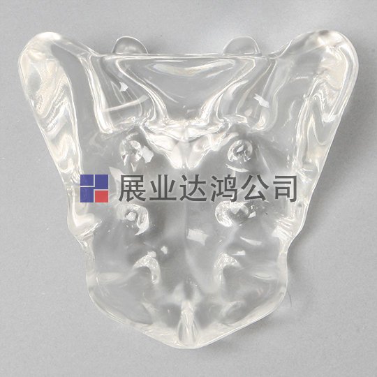 SAWBONES 骶骨解剖透明模型1298-20
