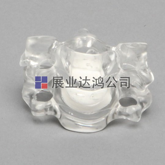SAWBONES 頸椎C5-C6解剖透明模型1701-125-2