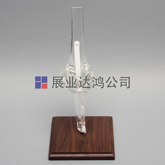 SAWBONES 鉸接式膝關節解剖模型1701-267-5