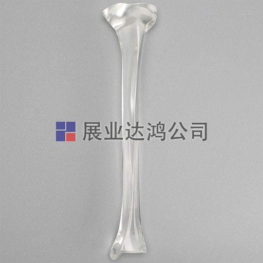 SAWBONES 無管脛骨解剖透明模型1701-31-1