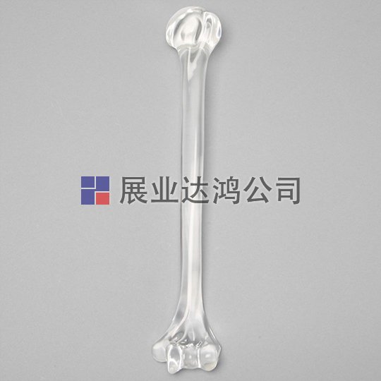 SAWBONES 無管道肱骨解剖模型1701-32-1