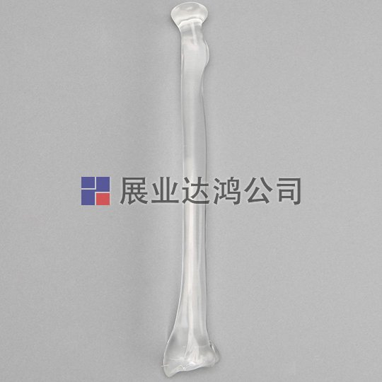 SAWBONES 無管半徑解剖透明模型1701-34