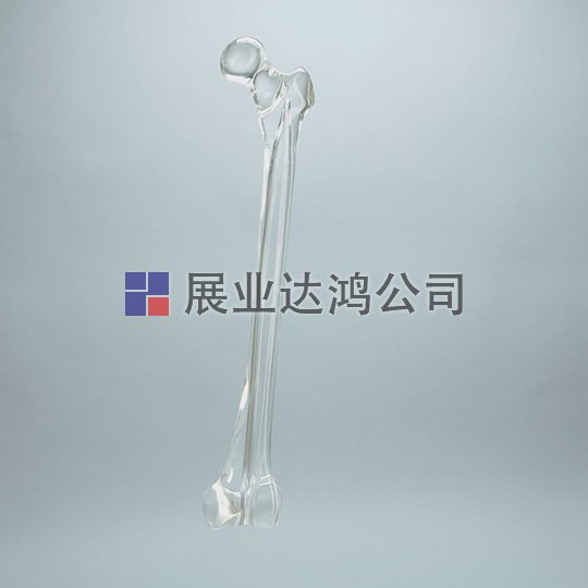 SAWBONES 股骨解剖透明模型1701-35