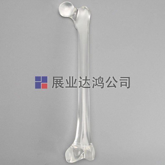 SAWBONES 無管股骨解剖模型1701-35-1