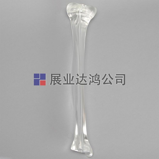 SAWBONES 脛骨解剖透明模型1701-36