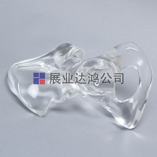SAWBONES 半骨盆解剖透明模型1294-8