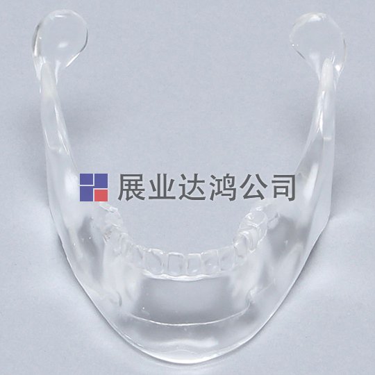 SAWBONES 下頜骨解剖透明模型1337-22