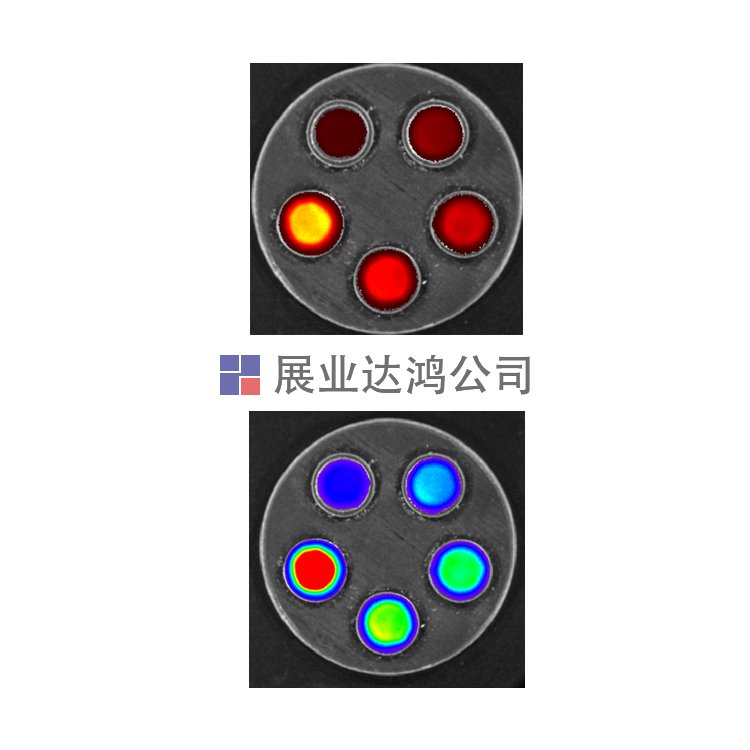 <b>Phantech光學線性模體</b>