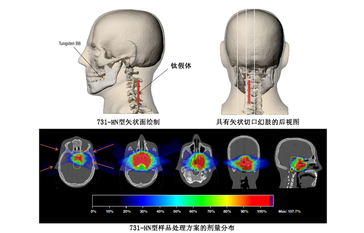 美國cirs 731-HN頭部模體