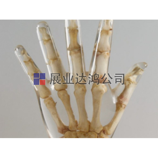 <b>夸特QUART真骨X射線手部模體</b>