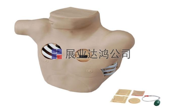 胸腔穿刺模擬人模型